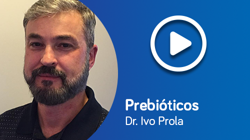 O papel de prebióticos na cólica e constipação